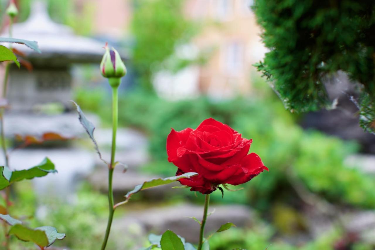 Hdo Furano Garden House Villa Dış mekan fotoğraf